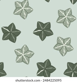 Seamless pattern succulent astrophytum myriotigma