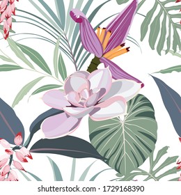 Seamless pattern: Succulent, banana flower,  tropical palm leaves. Hand drawn beautiful elements. Nature botanical art, elegant greenery wallpaper background, print design, exotic bouquet.
