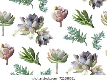 Seamless pattern: Succulent flower plant watercolor hand drawn beautiful elements. Vector nature botanical art elegant greenery wallpaper background print design Lovely various echeveria agave bouquet