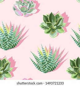 Seamless pattern with succulent on pink background