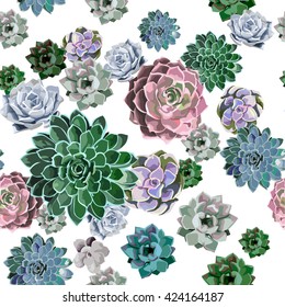 Seamless pattern of succulent plant on a white background.
