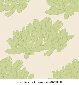 Seamless Pattern with Succulent Plants.