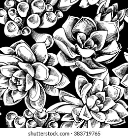 Seamless pattern of a succulent plants on black background. Vector illustration. 