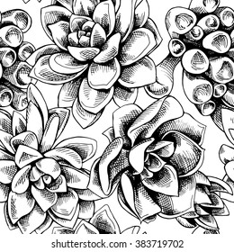 Seamless pattern of a succulent plants. Vector illustration. 
