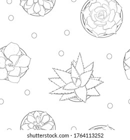 Patrón sin foco con suculentos. Borde negro sobre fondo blanco. Ilustración vectorial en blanco y negro.