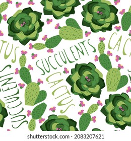 Seamless pattern with succulents and cactus in colourful pots, pattern in doodle hand drawn style. Vector illustration