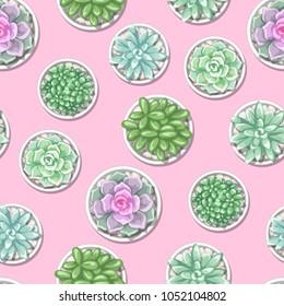 Seamless pattern with succulents. Echeveria, Jade Plant and Donkey Tails.
