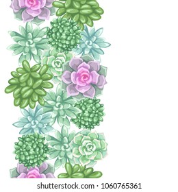 Seamless pattern with succulents. Echeveria, Jade Plant and Donkey Tails.