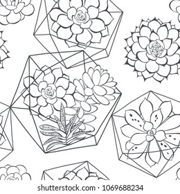 Seamless pattern with a succulents and florariums  on a white background. Floral vector illustration.