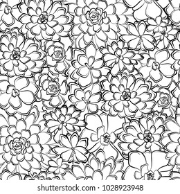 seamless pattern with succulents flowers drawings