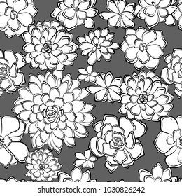 seamless pattern with succulents flowers drawings
