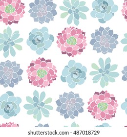 Seamless pattern with  succulents  on a white background.