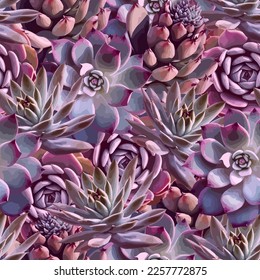 Seamless pattern Succulents set. Vector stock illustration eps10.