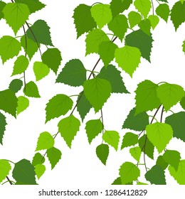 Seamless pattern with summer birch branches on white background. Vector colored flat style endless texture. 