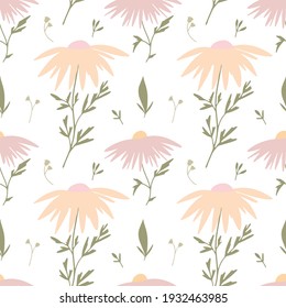 Seamless pattern. Summer flowers. Botanical wild.