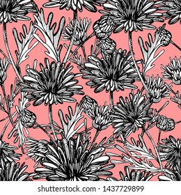 Seamless pattern with summer flowers of chrysanthemum, field, garden beautiful plants, hand draws ink. Large chrysanthemums of different shapes in vintage style. Design for wallpaper, textiles