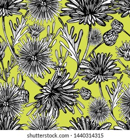 Seamless pattern with summer flowers of chrysanthemum, field, garden beautiful plants, hand draws ink. Large chrysanthemums of different shapes in vintage style. Design for wallpaper, textiles