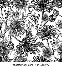 Seamless pattern with summer flowers of chrysanthemum, field, garden beautiful plants, hand draws ink. Large chrysanthemums of different shapes in vintage style. Design for wallpaper, textiles