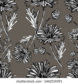 Seamless pattern with summer flowers of chrysanthemum, field, garden beautiful plants, hand draws ink. Large chrysanthemums of different shapes in vintage style. Design for wallpaper, textiles