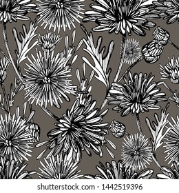 Seamless pattern with summer flowers of chrysanthemum, field, garden beautiful plants, hand draws ink. Large chrysanthemums of different shapes in vintage style. Design for wallpaper, textiles