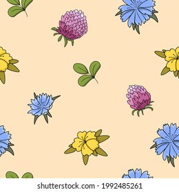 Seamless pattern with summer flowers, vector illustration. Healing Herbs for design Natural Cosmetics, aromatherapy, medicine, health products and homeopathy.