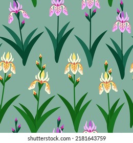 seamless pattern summer irises bloom