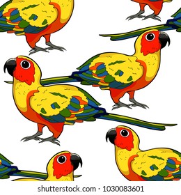 seamless pattern  Sun Parakeet parrot brazil  vector illustration