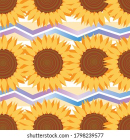 Seamless pattern with sunflower or color as a print for fabric, textile. Floral or botanical flat vector stock illustration with yellow flower sunflower as texture, backdrop, background