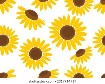 Seamless pattern with sunflower field on white background vector illustration. Cute floral print.