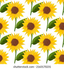 Nahtloses Muster mit Sonnenblumengrafik auf weißem Hintergrund