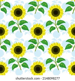 Seamless pattern with sunflower flowers on white background.