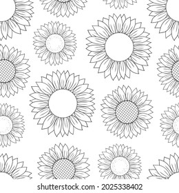 Seamless pattern sunflower graphics black and white colors vector illustration