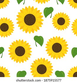 Patrón sin foco con girasol y hojas verdes en la ilustración vectorial de fondo blanco.