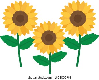 The Seamless pattern of sunflower and leaves on white background in flat vector. Illustration about sunflower for banner , background and greeting card.