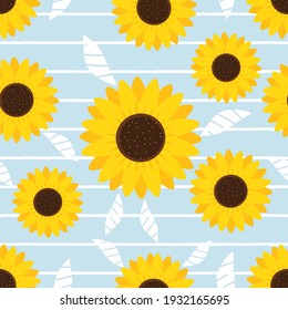 Seamless pattern with sunflower on stripe blue background vector illustration.