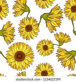 Seamless pattern of sunflower. Vector illustration of autumn flowers isolated on white background.