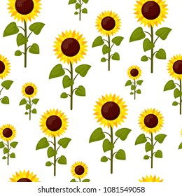 Seamless pattern sunflowers cartoon isolated on a white background. Summer agriculture flat style vector illustration