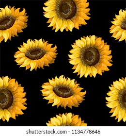Seamless pattern with sunflowers on a black background. Vector illustration.