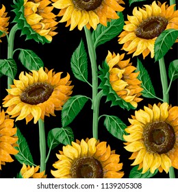 Seamless pattern with sunflowers on a black background. 