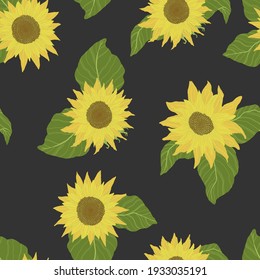 Seamless pattern with sunflowers on black background.  Vector background with yellow flower in cartoon flat design. 