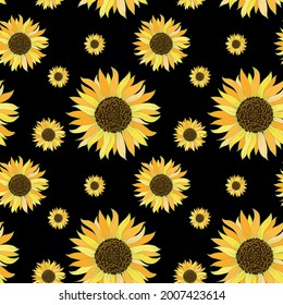 Seamless pattern with sunflowers on a black background. Vector texture of blooming floral for holiday invitations, greeting card and fashion design.