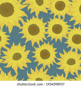 Seamless pattern with sunflowers on blue background. Flowers, buds and leaf
 Vector backdrop with yellow flower in cartoon flat design. 
