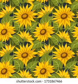 Patrón sin foco con girasoles sobre fondo oscuro. Ilustración vectorial de verano