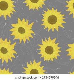 Seamless pattern with sunflowers on grey background. Flowers, buds and leaf
 Vector backdrop with yellow flower in cartoon flat design. 
