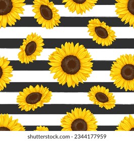 seamless pattern of sunflowers on a striped black and white background  vector illustration