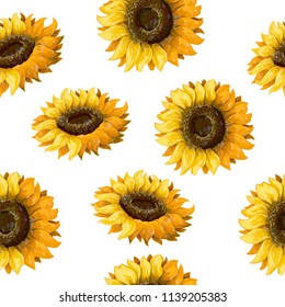 Seamless pattern with sunflowers on a white background. 