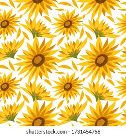 Seamless pattern with sunflowers on white background. Summer vector illustration