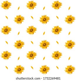 Seamless pattern with sunflowers on white background. Summer vector illustration