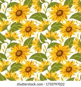 Seamless pattern with sunflowers on white background. Summer vector illustration