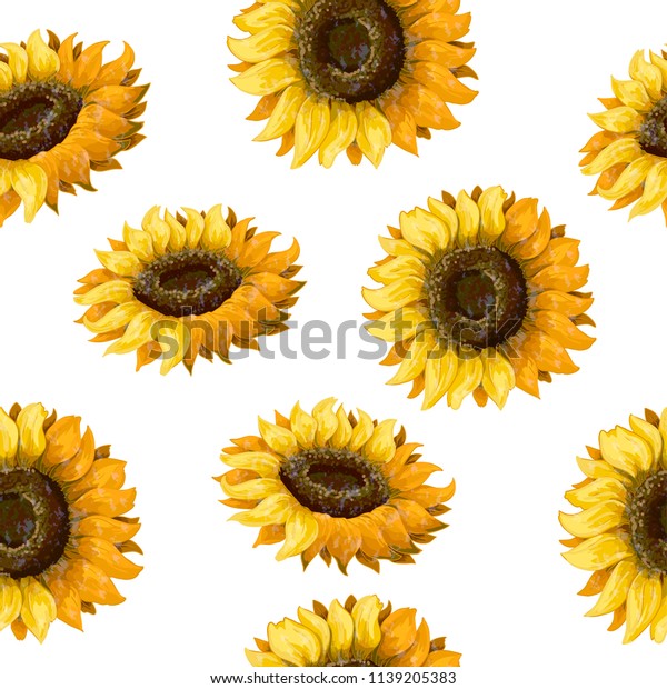 Seamless Pattern Sunflowers On White Background Stock Vector Royalty Free 1139205383 0909